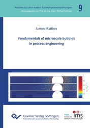 Fundamentals of microscale bubbles in process engineering