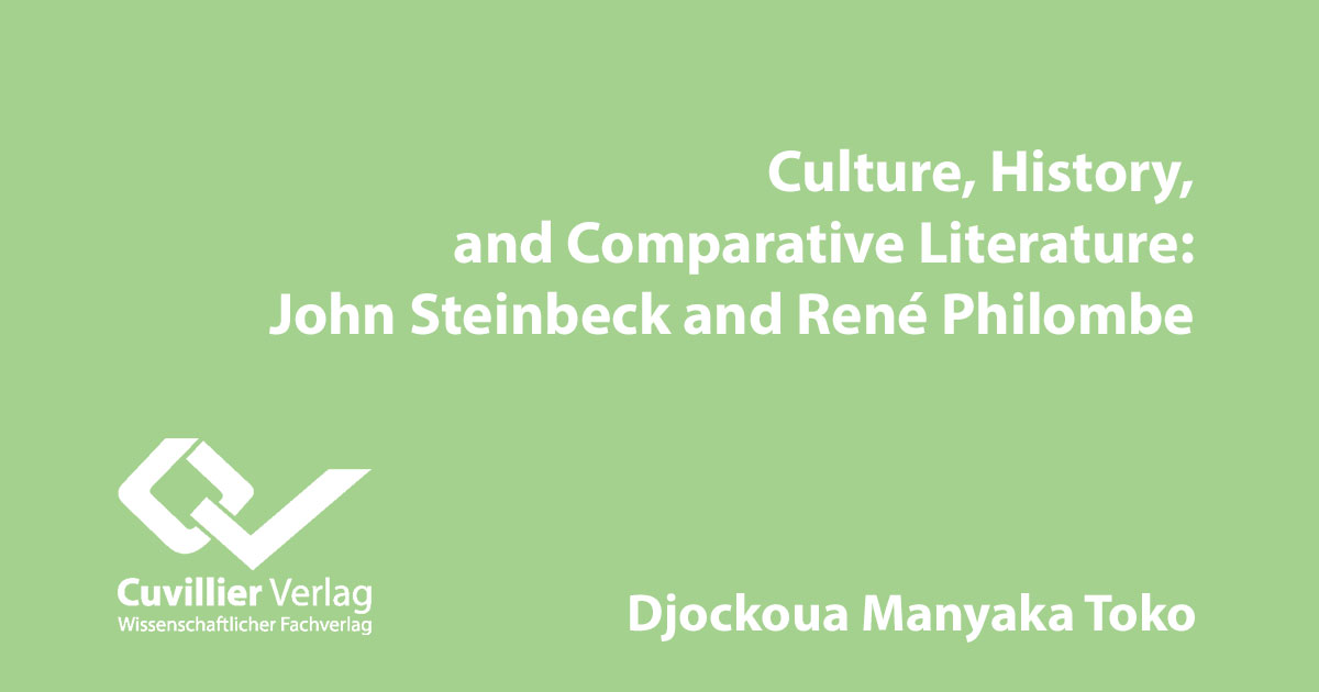 Vergleichende Literaturwissenschaft:Amerikanische und afrikanische Sozialkritik