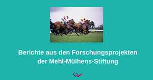 Preview_mehl-m_lhens-stiftung