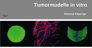 Preview_tumormodelle-in-vitro-2