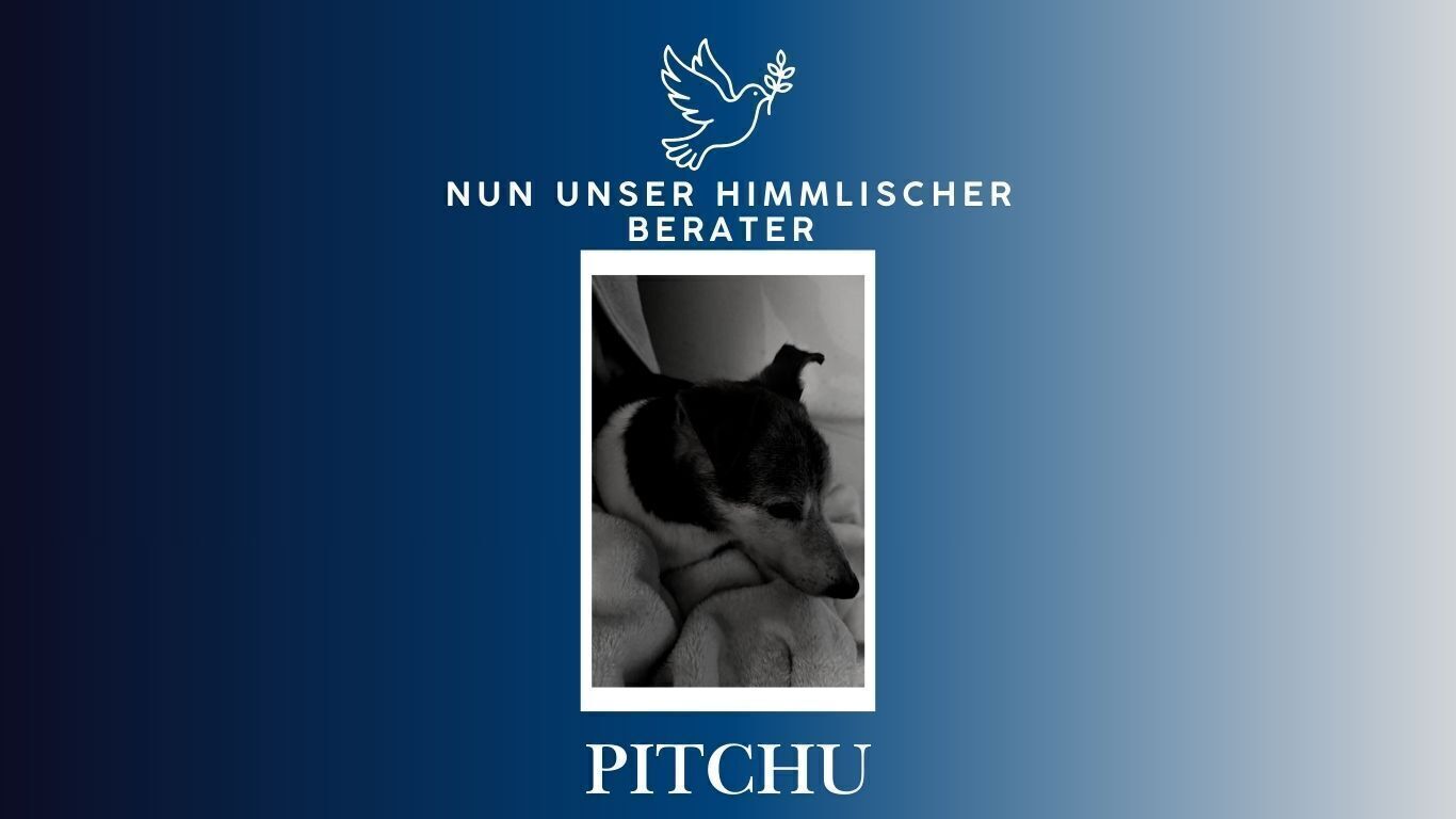 Big_kein_titel__website__1_