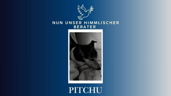 Preview_kein_titel__website__1_