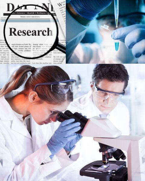 Preview_2025-11-13_bild_fdw