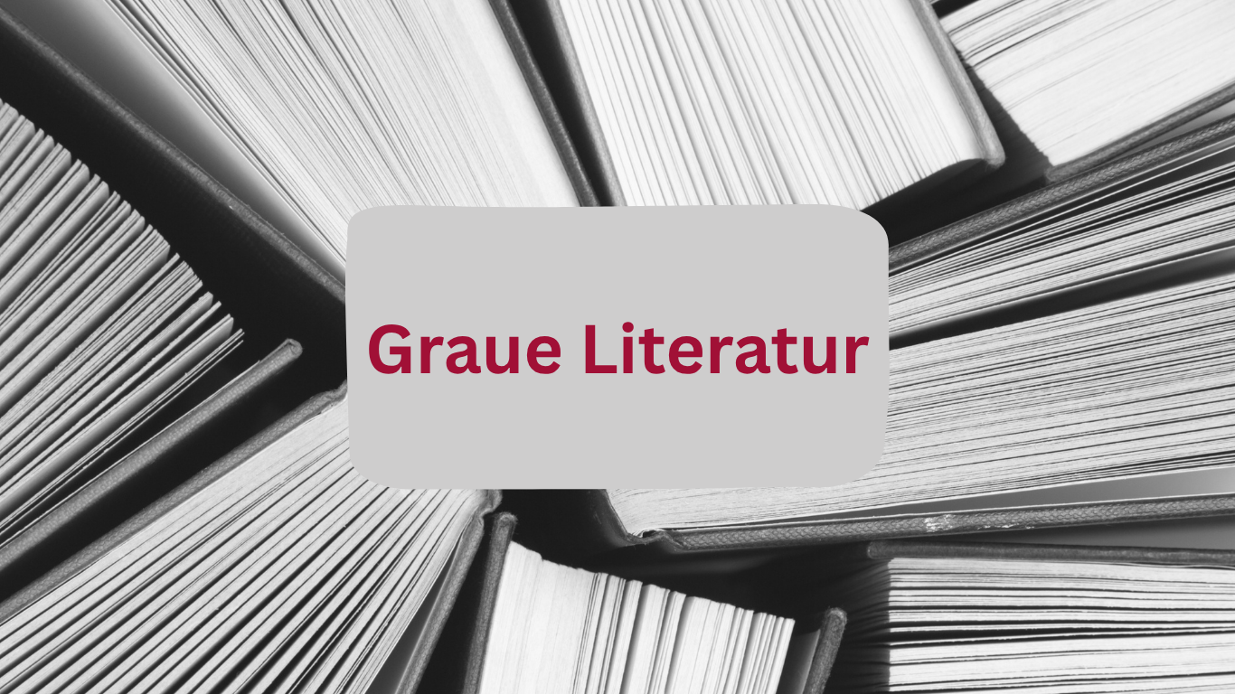 Big_2026-05-19_graue_literatur