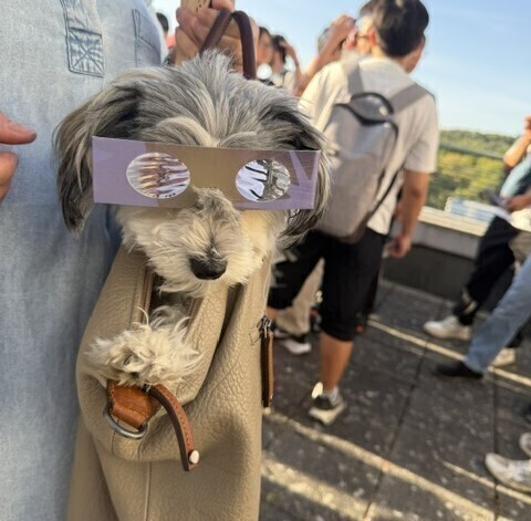 Preview_bild_maxi_in_tasche_3.0