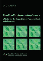 Paulinella chromatophora – a Model for the Acquisition of Photosynthesis by Eukaryotes