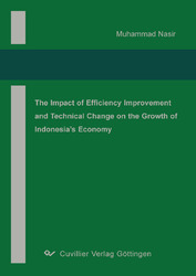 The Impact of Efficiency Improvement and Technical Change on The Growth of Indonesia’s Economy