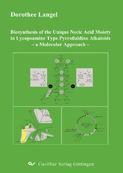 Biosynthesis of the Unique Necic Acid Moiety in Lycopsamine Type Pyrrolizidine Alkaloids