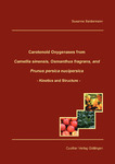 Carotenoid Oxygenases from Camellia sinensis, Osmanthus fragrans, and Prunus persica nucipersica