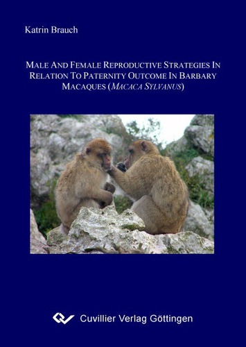 Male and female reproductive strategies in relation to paternity outcome in Barbary macaques
