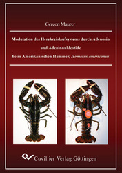 Modulation des Herzkreislaufsystems durch Adenosin und Adeninnukleotide beim Amerikanischen Hummer, Homarus americanus