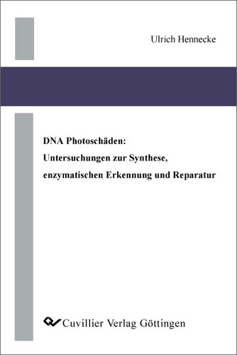 DNA Photoschäden: Untersuchungen zur Synthese, enzymatischen Erkennung und Reparatur