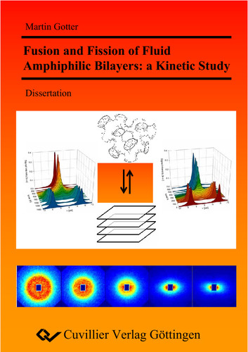 Fusion and Fission of Fluid Amphiphilic Bilayers: a Kinetic Study