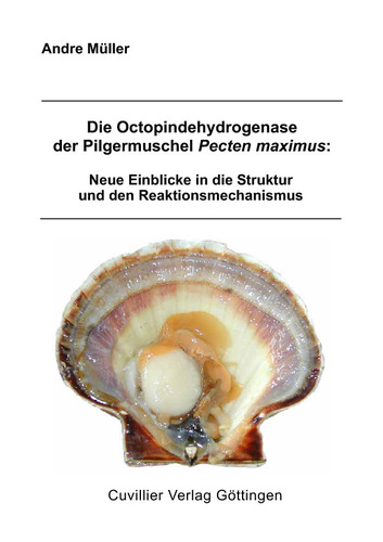 Die Octopindehydrogenase der Pilgermuschel Pecten maximus: Neue Einblicke in die Struktur und den Reaktionsmechanismus 