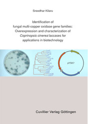 Identification of fungal multi-copper oxidase gene families: Overexpression and characterization of Coprinopsis cinerea laccases for applications in biotechnology