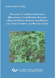 Phylogeny of the genus corchorus (Malvacea S.L.) and diversity analyses in selected species
