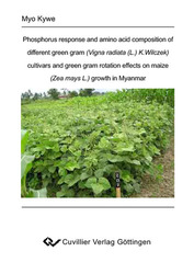 Phosphorus response and amino acid composition of different green gram (Vigna radiata (L.) K.Wilczek) cultivars and green gram rotation effects on maize (Zea mays L.) growth in Myanmar