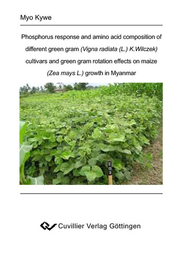Phosphorus response and amino acid composition of different green gram (Vigna radiata (L.) K.Wilczek) cultivars and green gram rotation effects on maize (Zea mays L.) growth in Myanmar