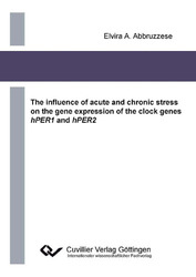 The influence of acute and chronic stress on the gene expression of the clock genes hPER1 and hPER2