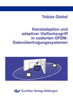 Kanaladaption und adaptiver Vielfachzugriff in codierten OFDM-Datenübertragungssystemen