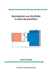 Spinninjektion aus (Zn, Mn) Se in GaAs-Quantenfilme