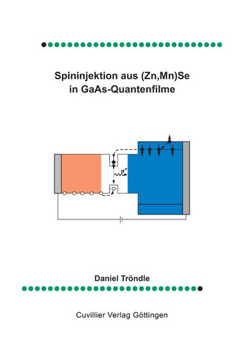 Spinninjektion aus (Zn, Mn) Se in GaAs-Quantenfilme