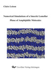 Numerical Simulations of a Smectic Lamellar of Amphiphilic Molecules