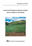 Growth and Phosphorus Nutrition of Maize Grown in Mixed or Sole Stands