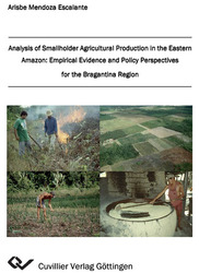 Analysis of Smallholder Agricultural Production in the Eastern Amazon: Empirical Evidence and Policy Perspectives for the Bragantina Region