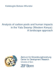 Analysis of carbon pools and human impacts in the Yala Swamp (Western Kenya): A landscape approach