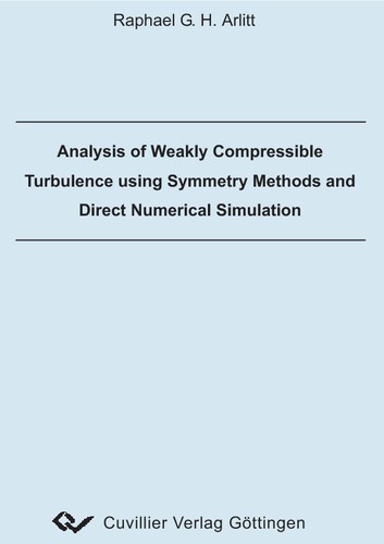 Analysis of Weakly Compressible Turbulence using Symmetry Methods and Direct Numerical Simulation