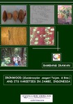 Ironwood (Eusideroxylon zwageri Teijsm. & Binn.) and its varieties in Jambi, Indonesia