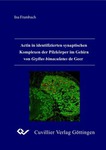 Actin in identifizierten synaptischen Komplexen der Pilzkörper im Gehirn von Gryllus bimaculatus de Geer