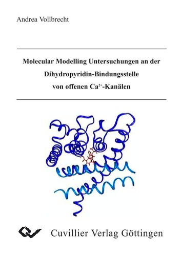 Molecular Modelling Untersuchungen an der Dihydropyridin-Bindungsstelle von offenen Ca2+Kanälen