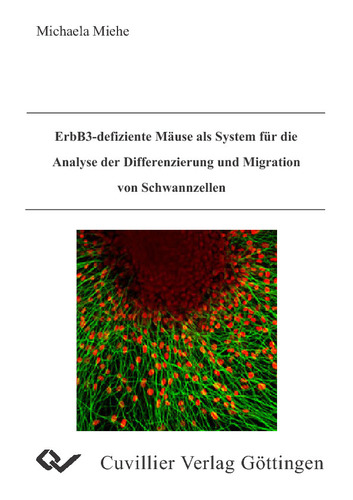 ErbB3-defiziente Mäuse als System für die Analyse der Differenzierung und Migration von Schwannzellen