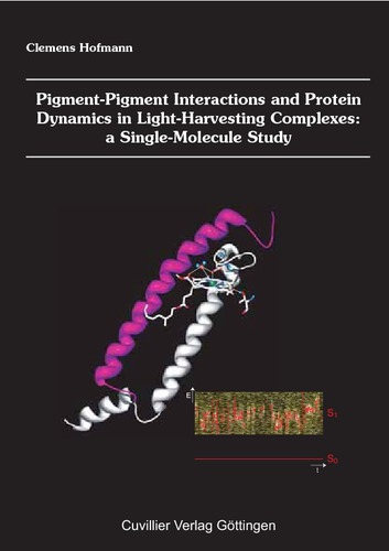 Pigment-Pigment Interactions and Protein Dynamics in Light-Harvesting Complexes: a Single-Molecule Study
