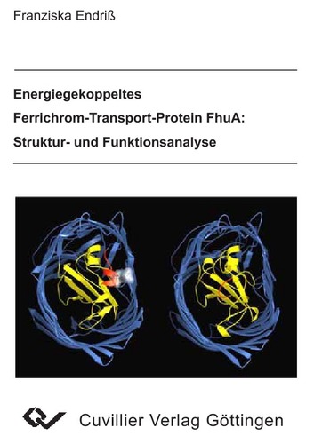 Energiegekoppeltes Ferrichrom-Transport-Protein FhuA: Struktur- und Funktionsanalyse