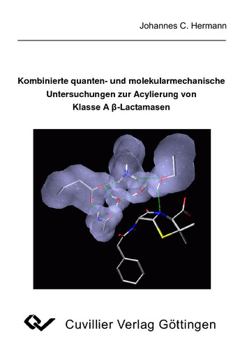 Kombinierte quanten- und molekularmechanische Untersuchungen zur Acylierung von Klasse Aß-Lactamasen