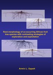 Root morphology of co-occurring African fruit tree species with contrasting strategies of exploration and exploitation