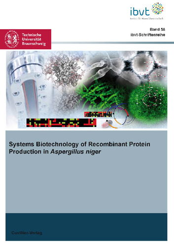 Systems Biotechnology of Recombinant Protein Production in Aspergillus niger