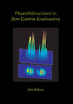 Phasenfluktuationen in Bose-Einstein-Kondensaten