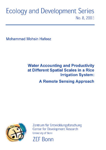 Water Accounting and Productivity at Different Spatial Scales in a Rice Irrigation System: A Remote Sensing Approach