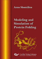 Modeling and Simulation of Protein Folding