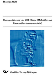 Charakterisierung von MHC Klasse I-Molekülen aus Rhesusaffen (Macaca mulatta)