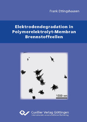 Elektrodendegradation in Polymarelektrolyt-Membran Brennstoffzellen