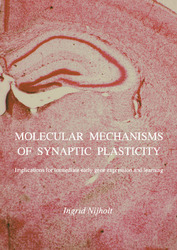 Molecular mechanisms of synaptic plasticity