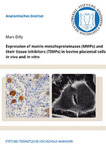 Expression of matrix metalloproteinases (MMPs) and their tissue inhibitors (TIMPs) in bovine placental cells in vivo and in vitro