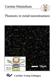 Plasmons in metal nanostructures