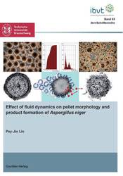 Effect of fluid dynamics on pellet morphology and product formation of "Aspergillus niger"