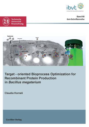 Target‐oriented Bioprocess Optimization for Recombinant Protein Production in Bacillus megaterium